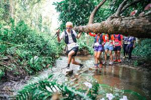 BIB: 
                            <button type="button" onclick="openModal(25515346)" class="btn btn-primary btn-sm float-right btn-popup" data-toggle="modal" data-target=".modal-high-quality">
                        <i class="fas fa-shopping-cart"></i> Add to Cart
                    </button>
                                            <button type="button" onclick="isThisMe(25515346, true)" class="btn btn-success btn-sm float-right btn-popup btn-isme hidden" data-toggle="tooltip" data-placement="bottom" title="นี่คือรูปของคุณใช่ไหม คลิกที่นี่เพื่อเอาเข้าอัลบั้ม">
                        <i class="fas fa-plus"></i> Add to album
                    </button>
                    <button type="button" onclick="isThisMe(25515346, false)" class="btn btn-warning btn-sm float-right btn-popup btn-isnotme hidden">
                        <i class="fas fa-ban"></i> Remove from album
                    </button>